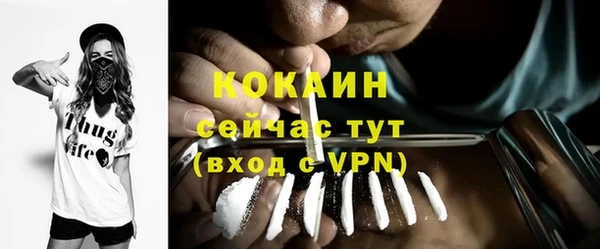 тгк Алексин