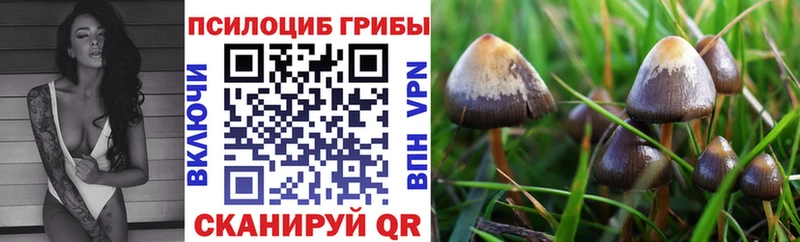 Галлюциногенные грибы ЛСД  сколько стоит  Донской 